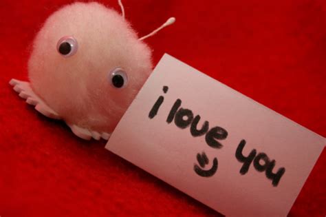 Download hd i love you photos for free on unsplash. adorably, christmas, cute, handwriting, i love you, love ...