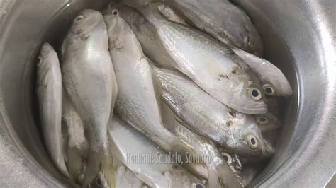 Many of my readers were enquring me about the fish names,especially if you are traveling out of india its difficult to identify the. False Trevally fish or Saundalo Fish names in Indian ...