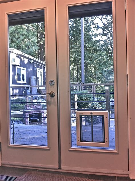 Top 20 Custom And Classic French Doors With Dog Door House