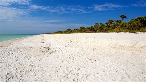 Barefoot Beach In Naples Florida Expedia