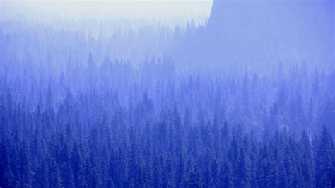 Mountain With Trees Covered With Fogs Macbook Air Wallpaper Download