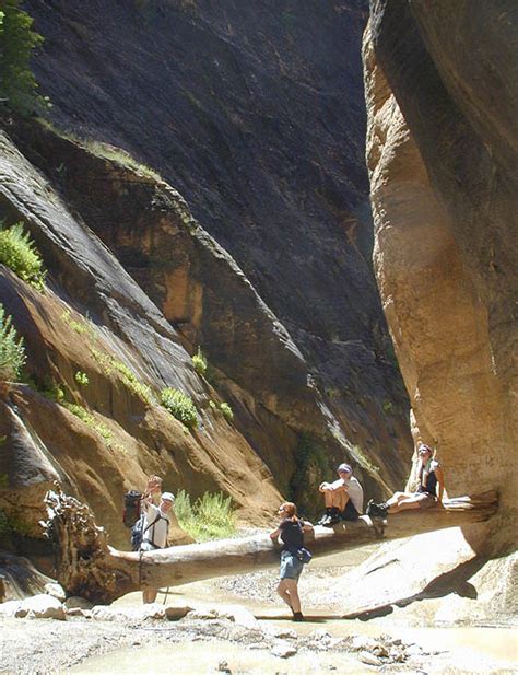 Englestead Canyon And Natural Anchors Zion National Park Ut