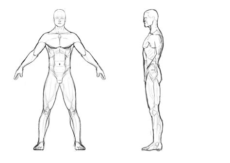 Human Body Outline Drawing Template Person Img Abigail