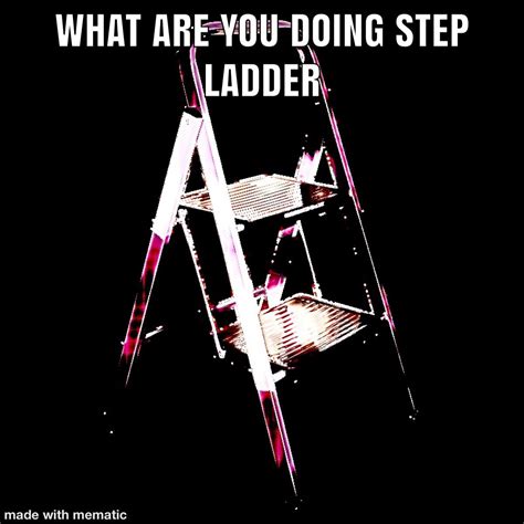 Help Step Ladder R Memes