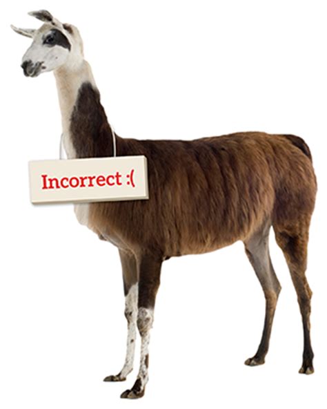 It will kick like a steer when a stranger comes up. Take the llama quiz now | Heifer International