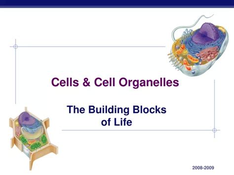 Ppt Cells And Cell Organelles Powerpoint Presentation Free Download