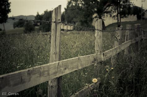 Wallpaper Sunlight Landscape Nature Grass Sky Wall Wood