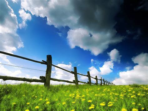Nature Wallpapers: Spring Fields Wallpaper