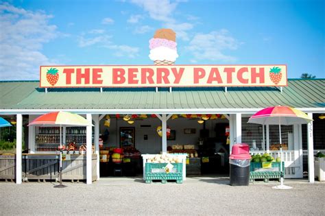 The Berry Patch Is A Unique Pit Stop In North Carolina