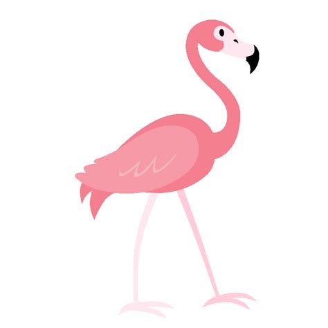 Flamingo A Go Go Giphy Flamingo Character Design Animation