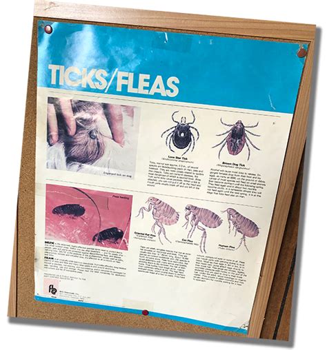 The largest professional pest control company in anchorage. "Richard's Mexican Food"