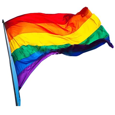 Gay Lesbian Rainbow Pride Flag Lgbt Large Polyester Peace Grommets Hand Banner Ebay