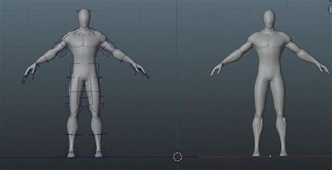 Rigged Male Body 3D Model Rigged CGTrader