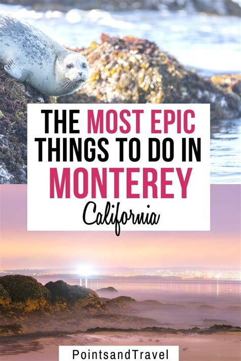 The Most Epic Things To Do In Monterey California Want To Explore
