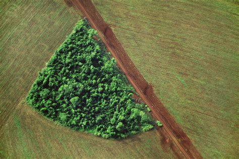 Brasil La Deforestación En Brasil Alcanza Su Mayor Nivel Desde 2008 E Incrementa Un 9 5