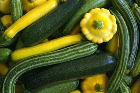 Maybe you would like to learn more about one of these? How to Dehydrate Zucchini and Summer Squash