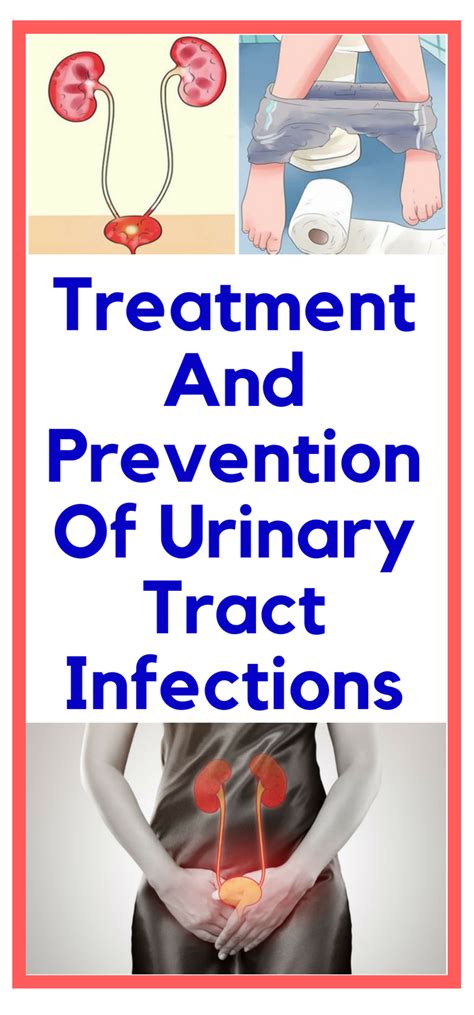 Daily Health Advisor Treatment And Prevention Of Urinary Tract Infections