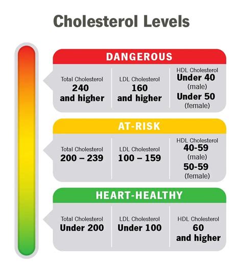 Understanding Cholesterol Levels And Numbers 2023