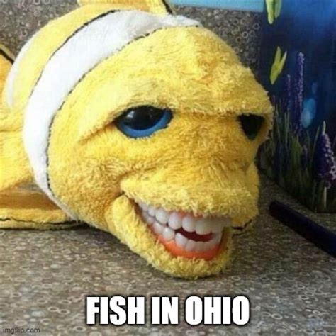 Fish On Ohio Imgflip