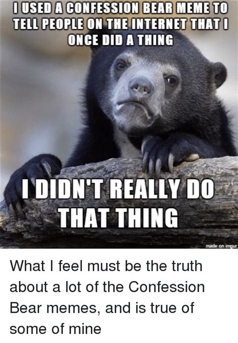 Used A Confession Bear Meme To Tell People On The Internet That I Once