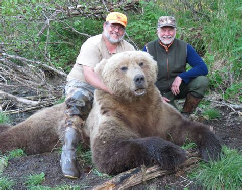 9 Day Alaska Peninsula Brown Bear Hunt For One Hunter