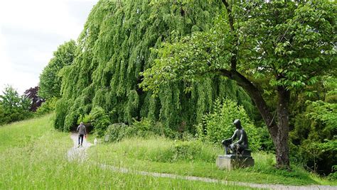 The rieterpark is a park in central zurich, switzerland. Rieterpark - cityparks.ch