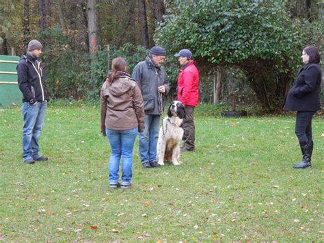 Die reime der anderen (feat. Anhalten in der Gruppe(Fredi)
