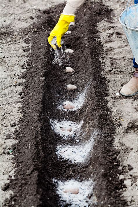 Organic and peat soils engineering. A List of Different Types of Soil You Haven't Seen Before ...
