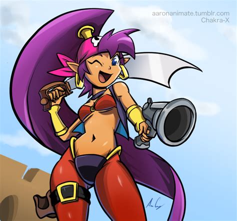 Shantae And The Pirate S Curse By Chakra X On Deviantart