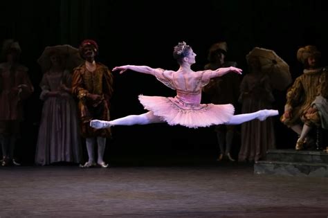 english national ballet s the sleeping beauty a photo album dedicated to elisabetta terabust