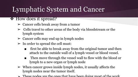 Ppt Lymphatic System Powerpoint Presentation Free Download Id2701848