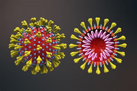 April 28, 2021, 07:41 gmt. How Many Coronavirus Strains are There? Novel Coronavirus ...
