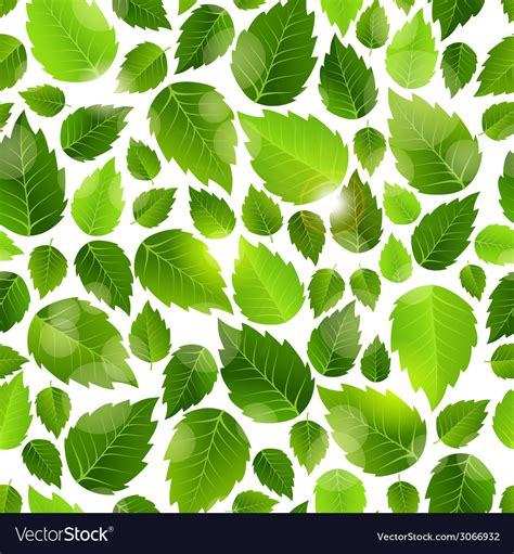 Fresh Green Leaves Seamless Background Pattern Vector Image