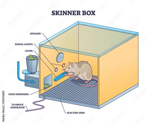 Plakat Skinner Box Or Operant Conditioning Chamber Experiment Outline