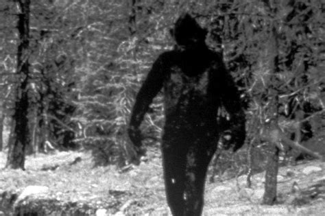 Alleged Bigfoot Sighting Prompts Gunfire At Kentucky Park The