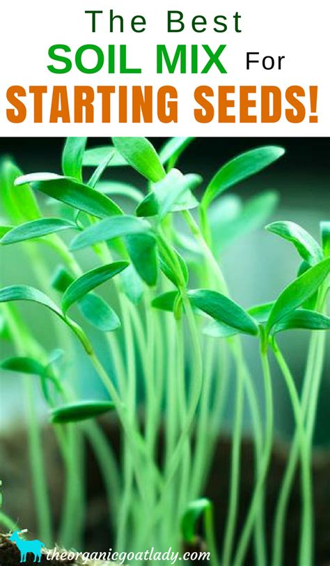Aug 14, 2020 · an ideal choice for your seed starting project, our jiffy 12 qt. The Best Seed Starting Mix | Organic gardening soil, Seed ...