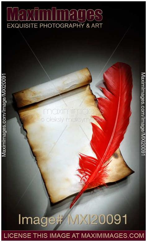 Photo Of Piece Of Parchment And Quill Pen Artistic Background Stock