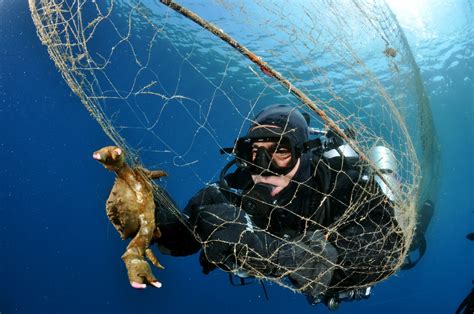 Ghost Nets Among The Greatest Killers In Our Oceans Mission Blue
