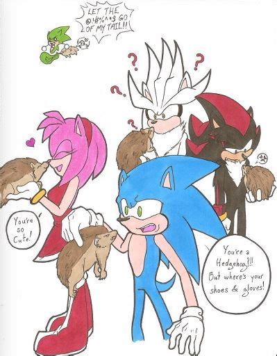Funny Sonic Team Picture Anime Amino
