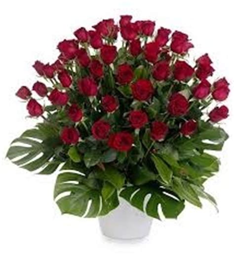 Founded in 2016, flowers by elizabeth, classified under reg no. Zena's Flowers - Liverpool NSW 2170 - Local florists ...