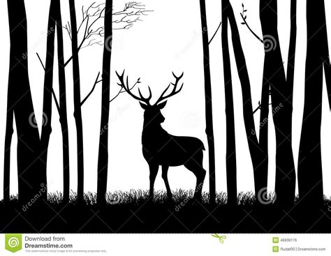 Wildlife Stock Vector Illustration Of Tranquility Wildlife 46939176