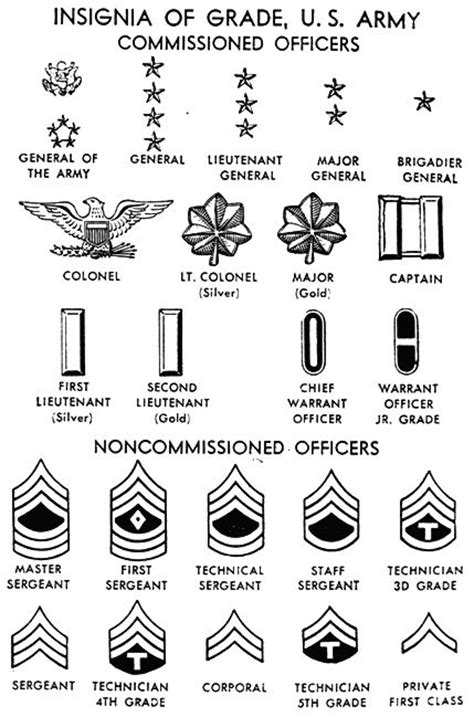 Army Ranks All The Insignas Of United Statescanadian Military