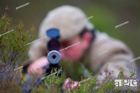 View Into Gun Barrel Of A Deer Stalker United Kingdom Scotland