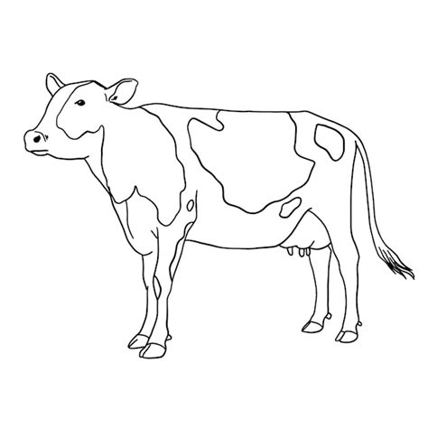 Cow Line Drawing Images - Free Download on Freepik