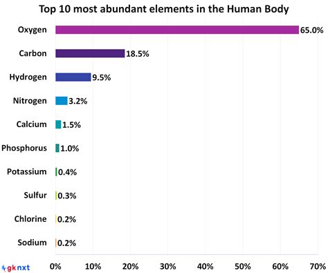 Top 10 Most Abundant Elements In The Human Body