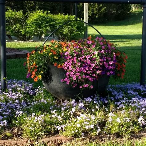 Aauw columbia, mo, columbia, missouri. The grounds at Cottonwoods RV Park & Campground in ...