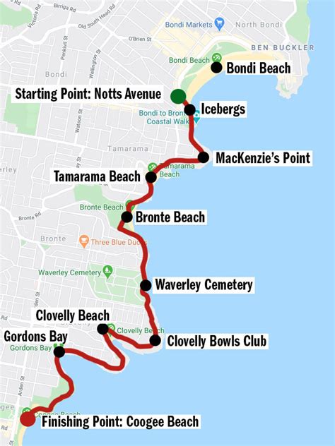 Bondi To Coogee Walk Insider Tips For The Trail — Walk My World