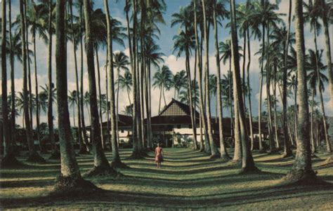 Plantation Hale Kauai Hi Postcard