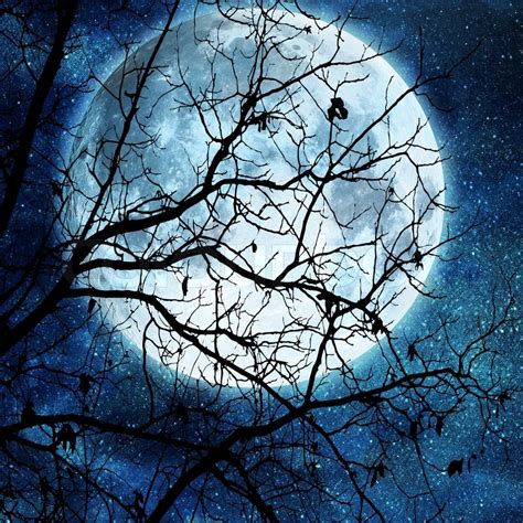 Stock Image Of Tree Branches Against Full Moon Moon Painting Full Moon Images Full Moon