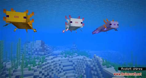 Minecraft 117 Snapshot 20w51a Axolotls Are The Cutest Mobs Ever
